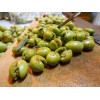 Zeytin